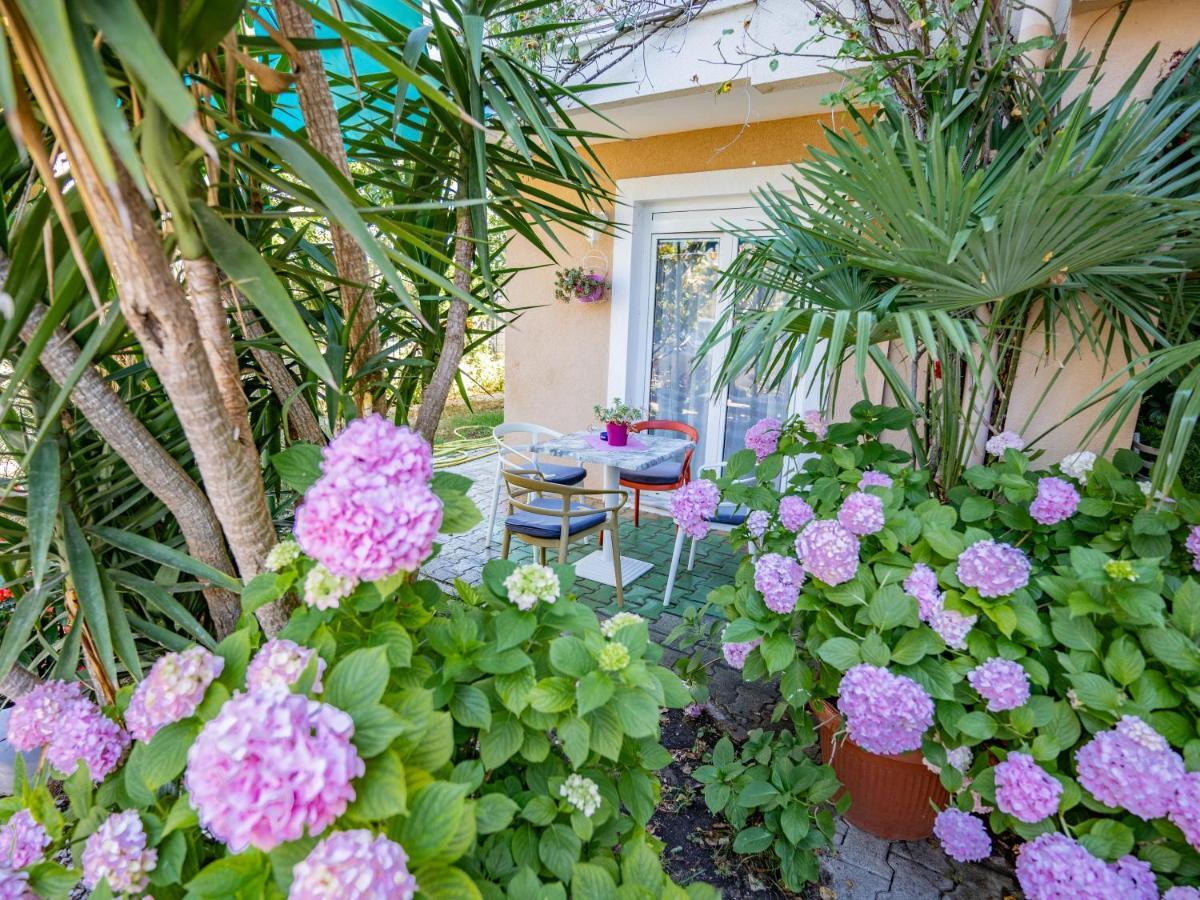 Apartments Villa Rudi Bibinje Eksteriør billede